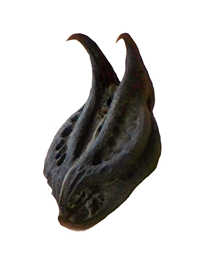 Bat's Head "Root" Pod // Whole