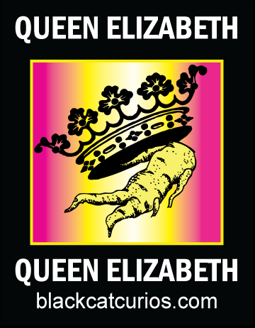 Queen Elizabeth Root Oil // 14.7 ml — 1/2 oz - Click image to close