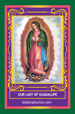 Our Lady of Guadalupe Vigil