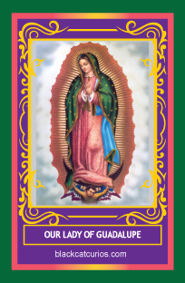 Our Lady of Guadalupe Vigil